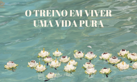 Captura de Tela 2025-07-06 às 11.25.52