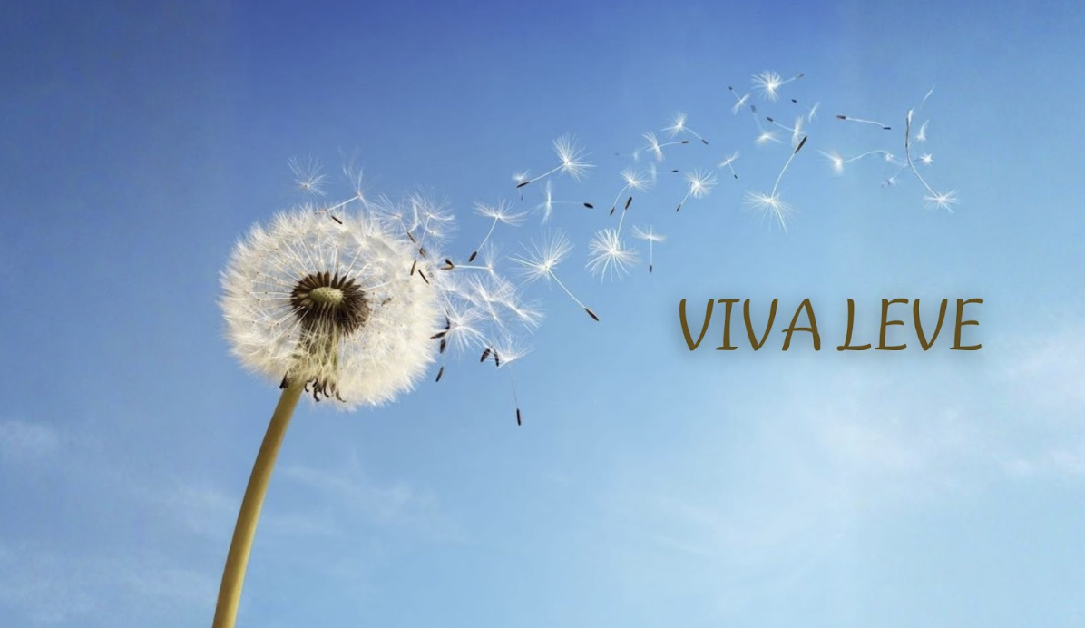 Captura de Tela 2025-12-17 às 00.54.12